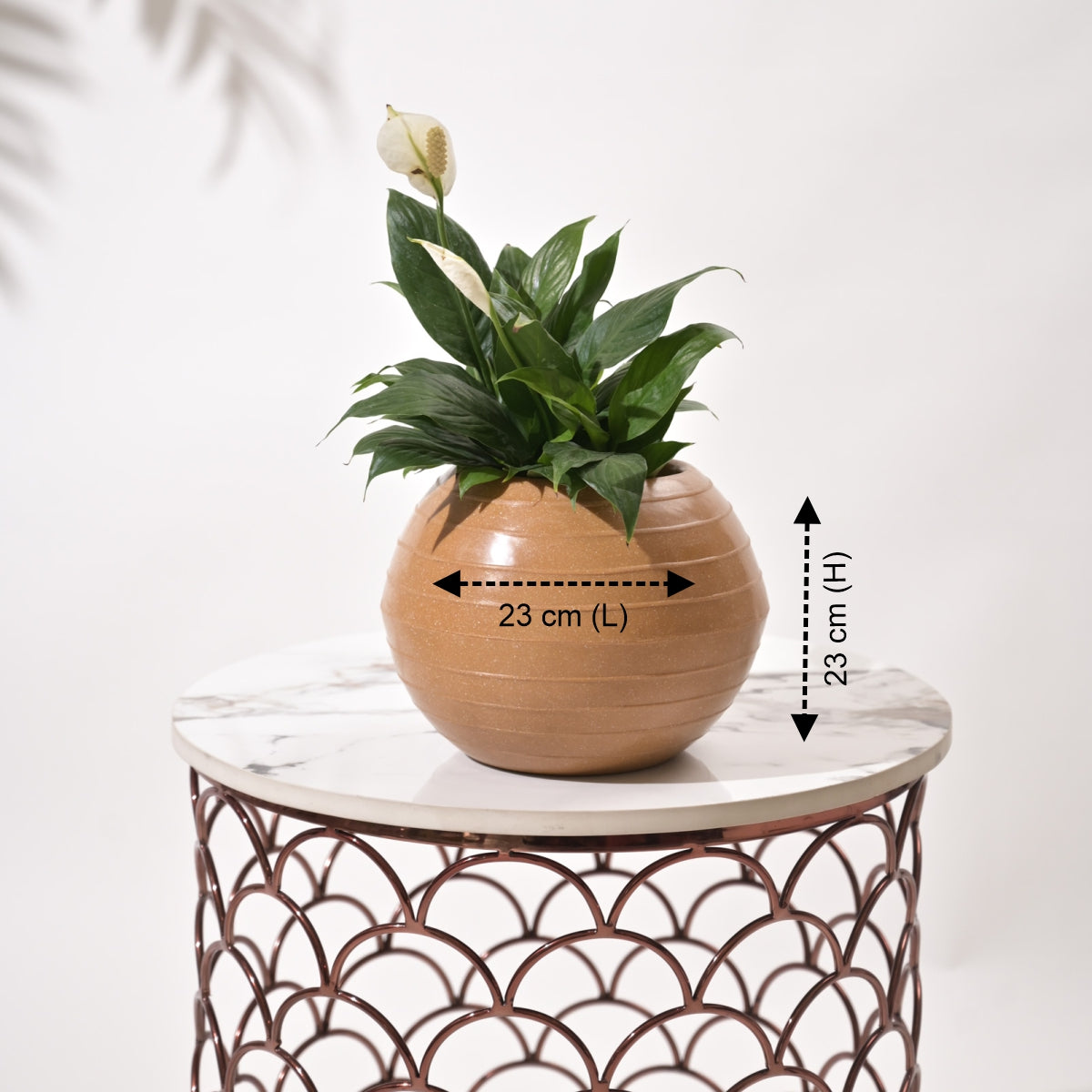 Rib Bowl Planters For Indoor Plants