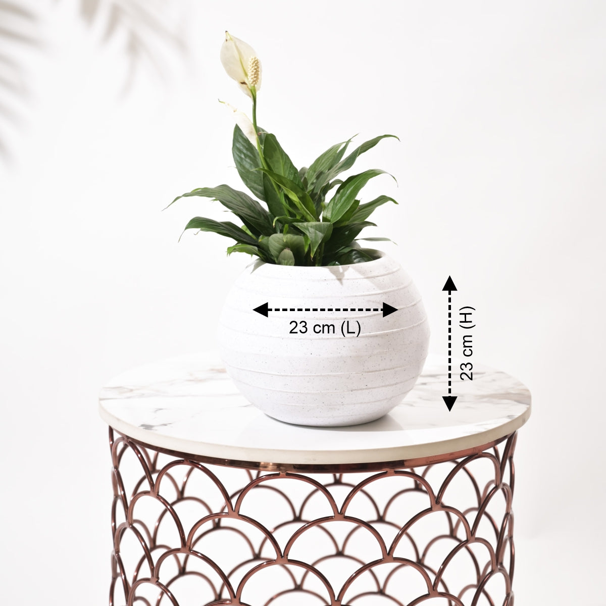 Rib Bowl Planters For Indoor Plants