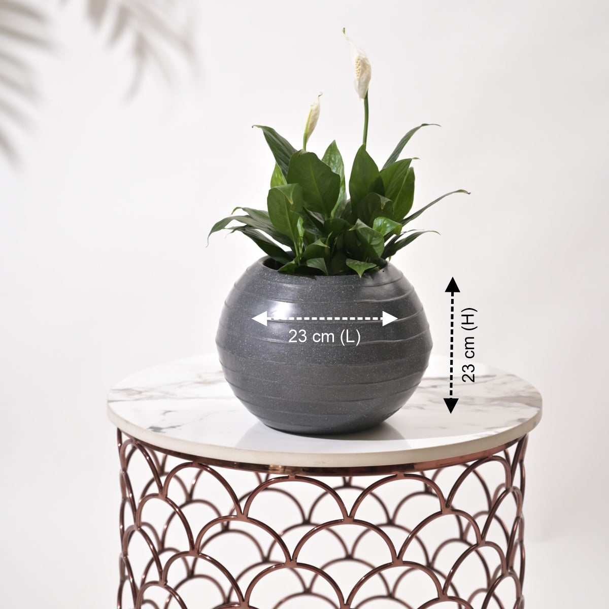 Rib Bowl Planters For Indoor Plants