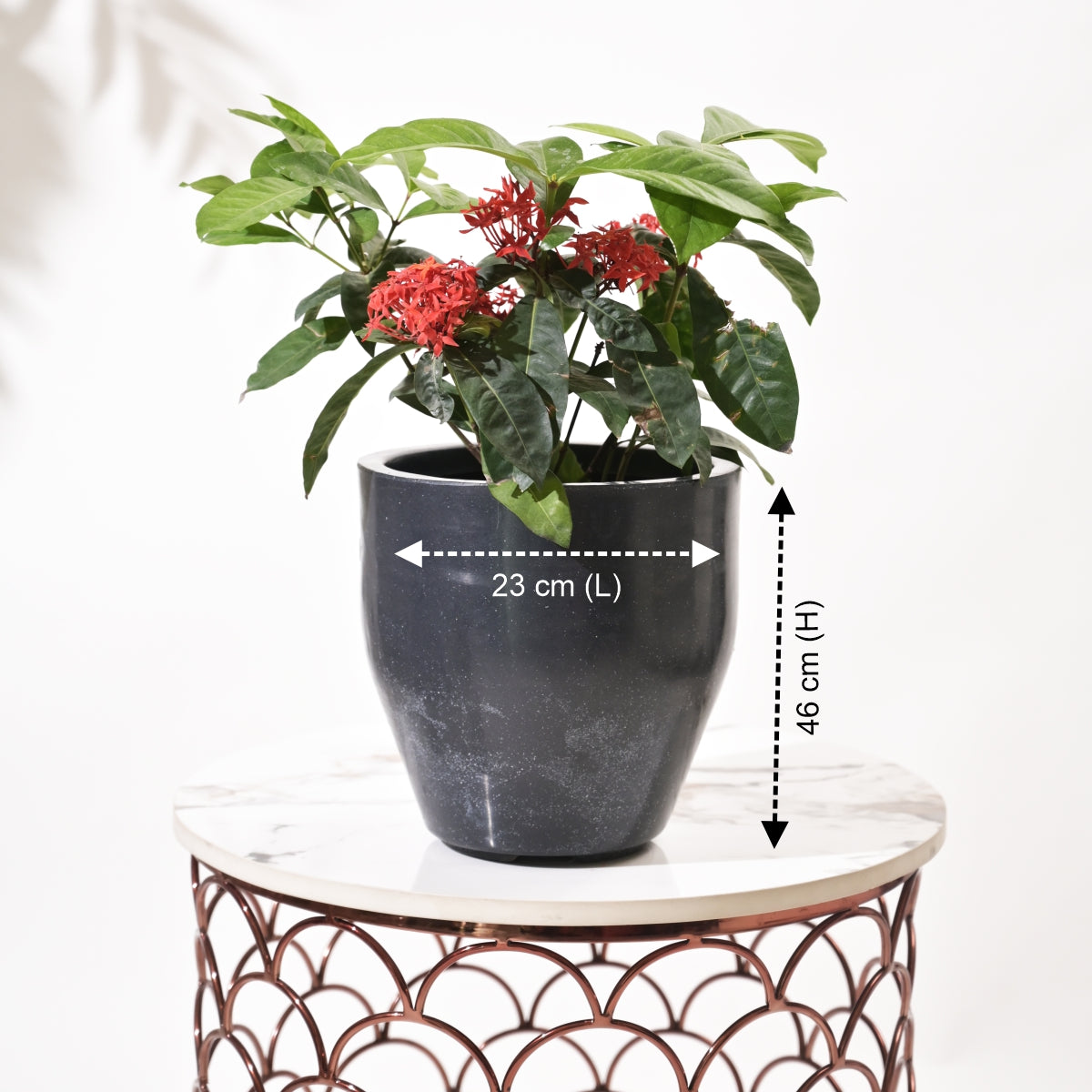Luna Large Planters For Living Room
