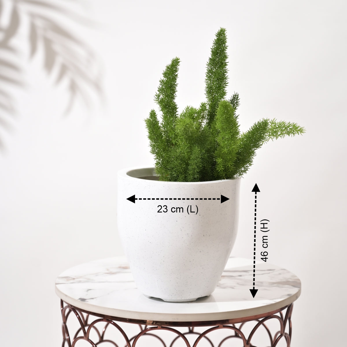 Luna Large Planters For Living Room