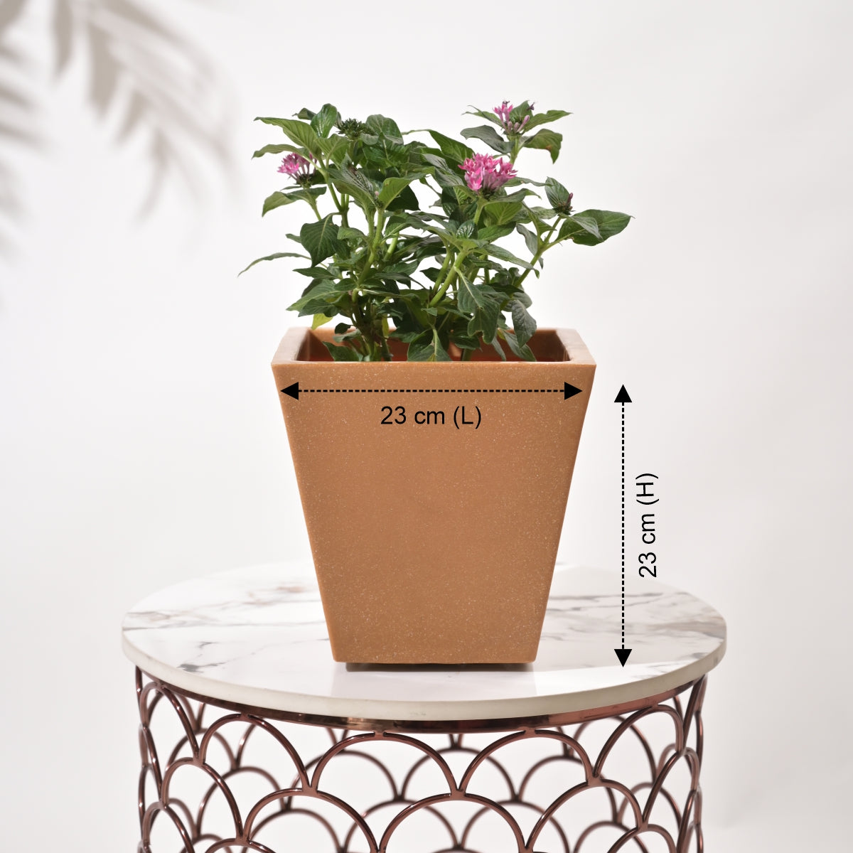 Bent Block Big Planters For Living Room