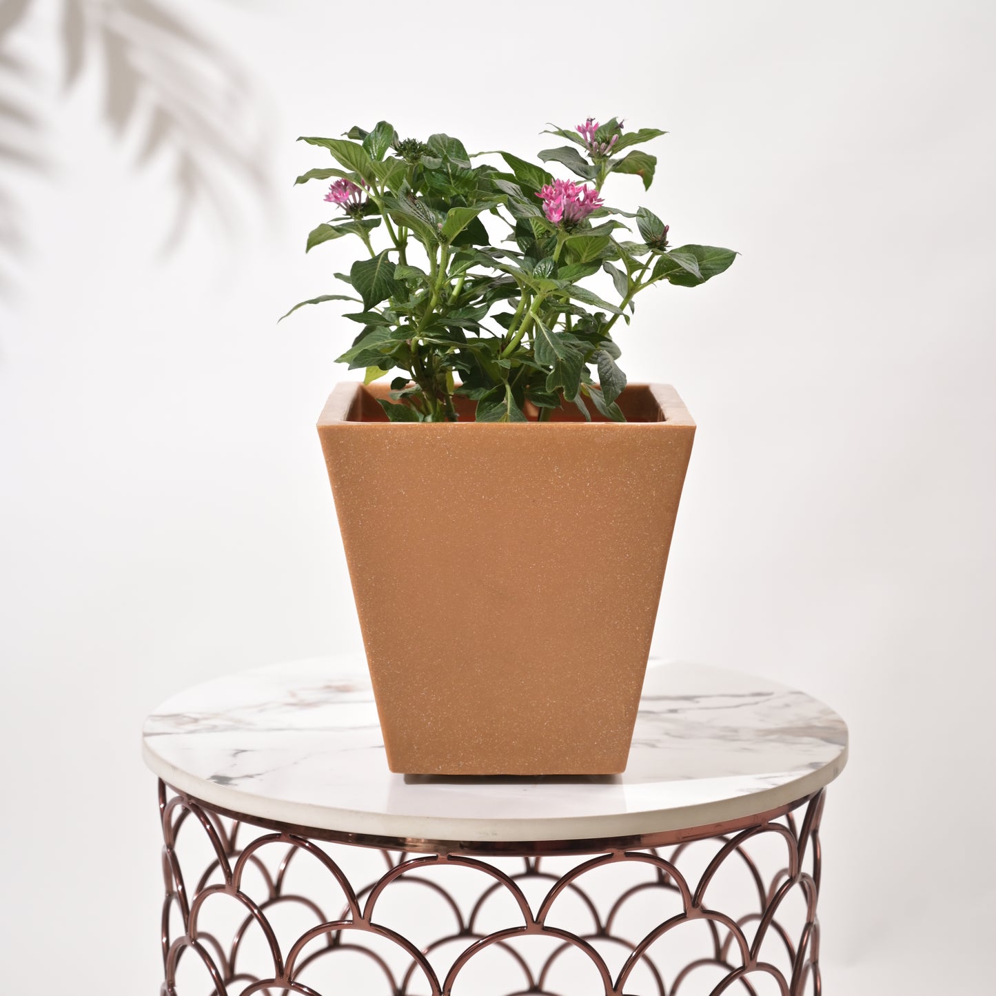 Bent Block Big Planters For Living Room