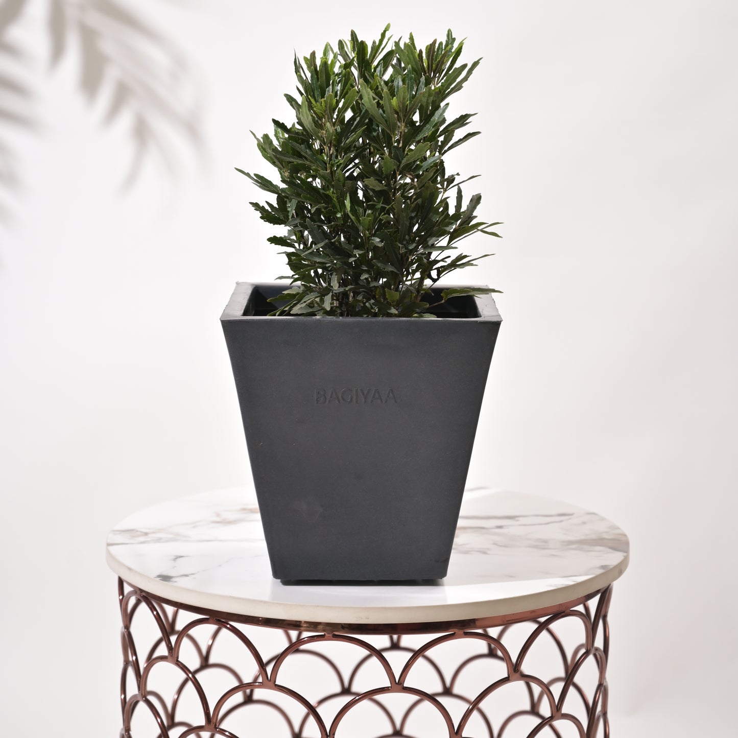 Bent Block Big Planters For Living Room