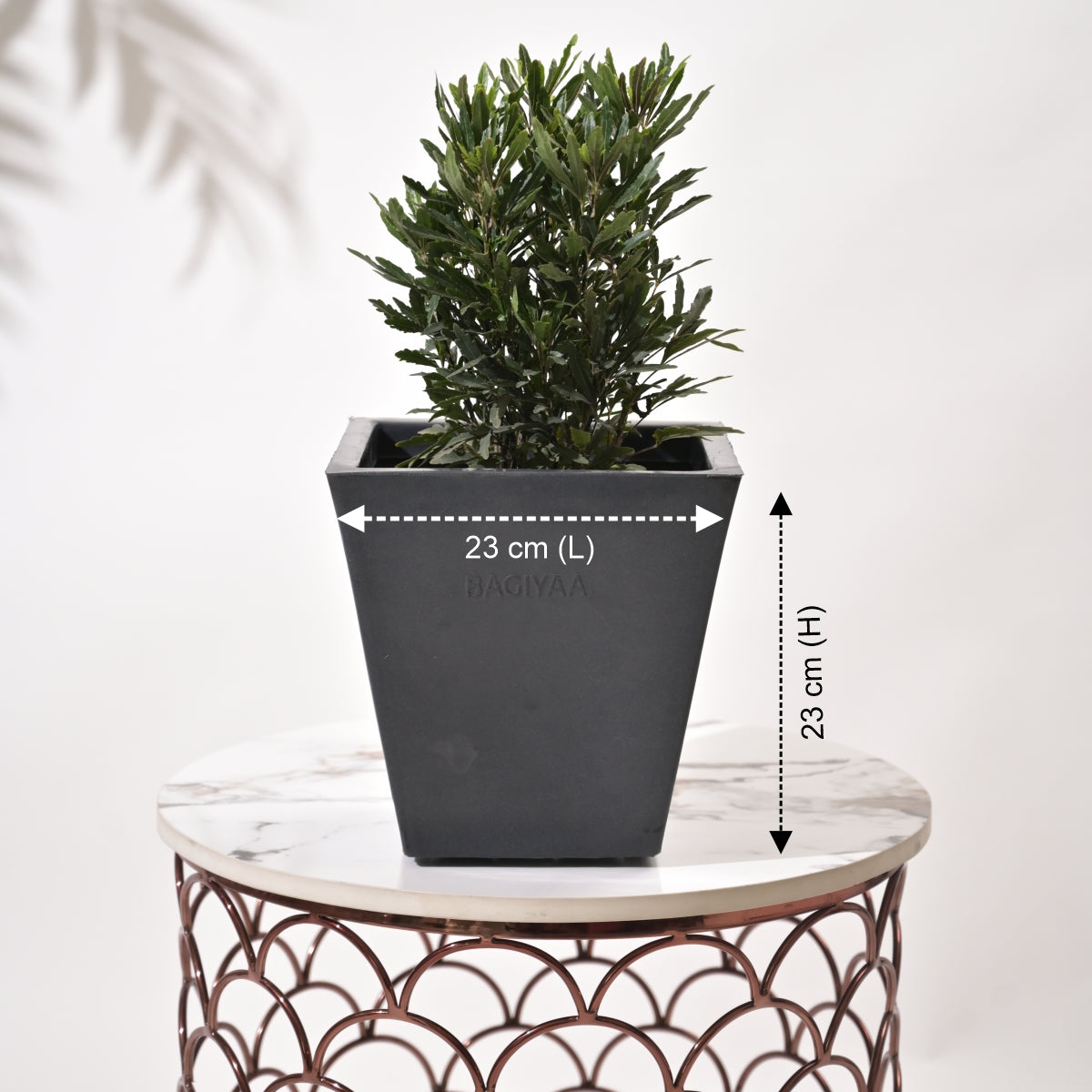 Bent Block Big Planters For Living Room