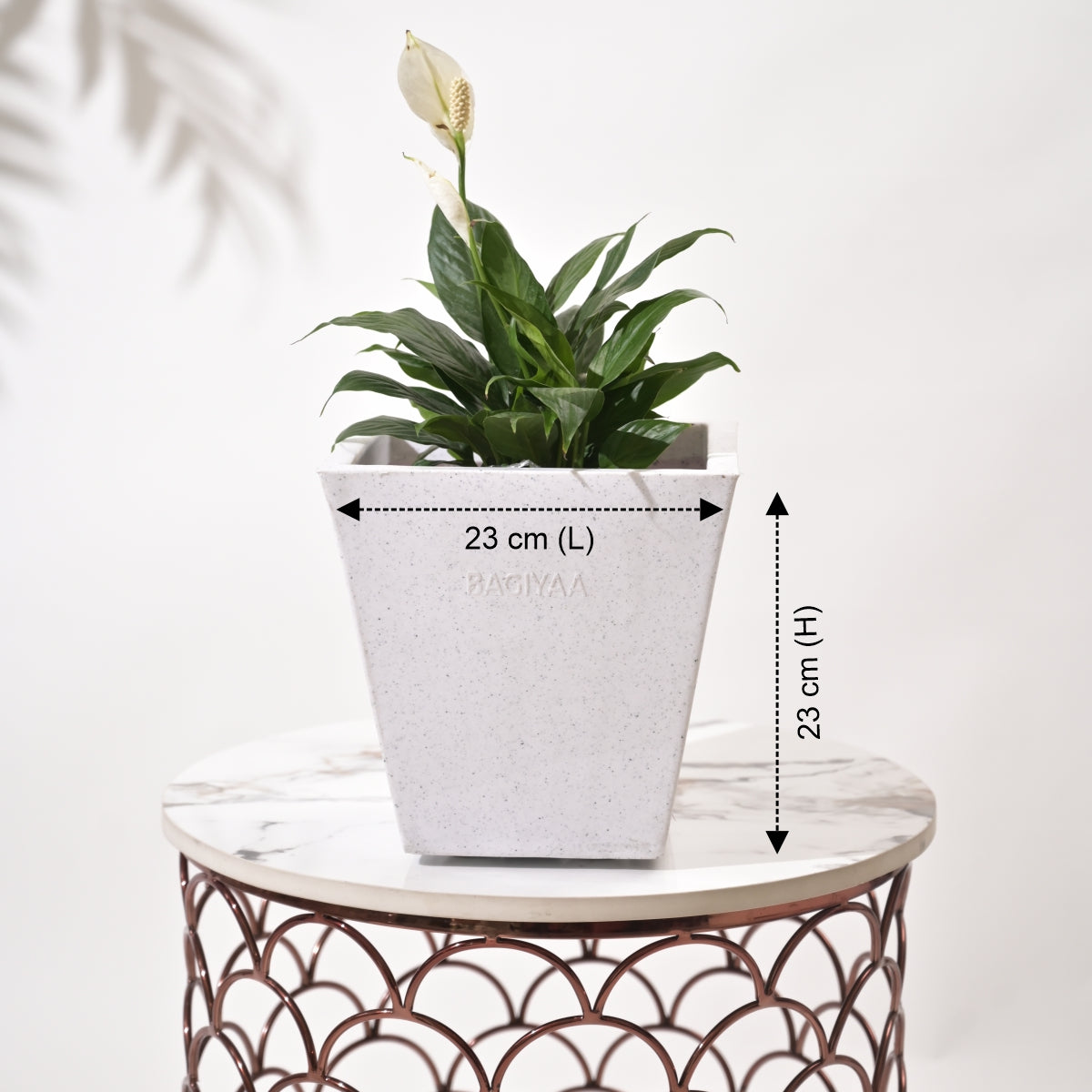 Bent Block Big Planters For Living Room