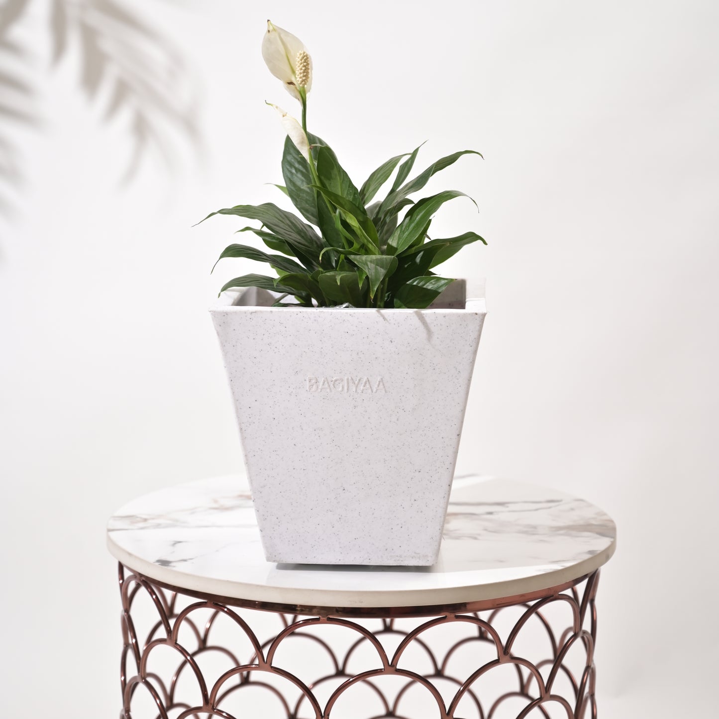 Bent Block Big Planters For Living Room