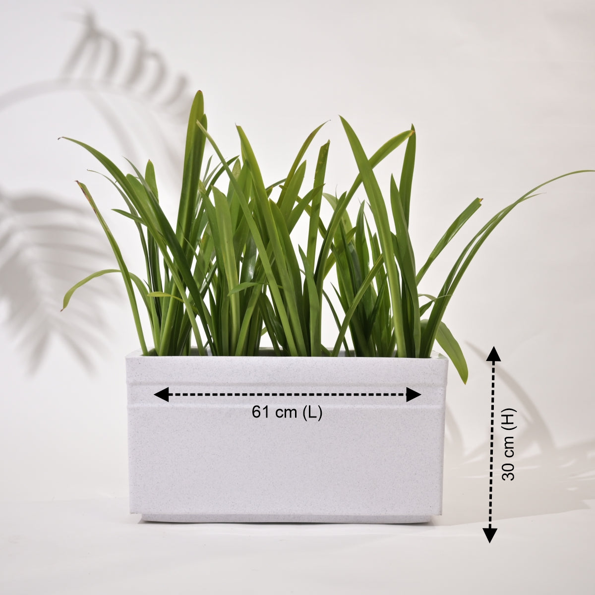 Trow Rectangular Planter For Garden