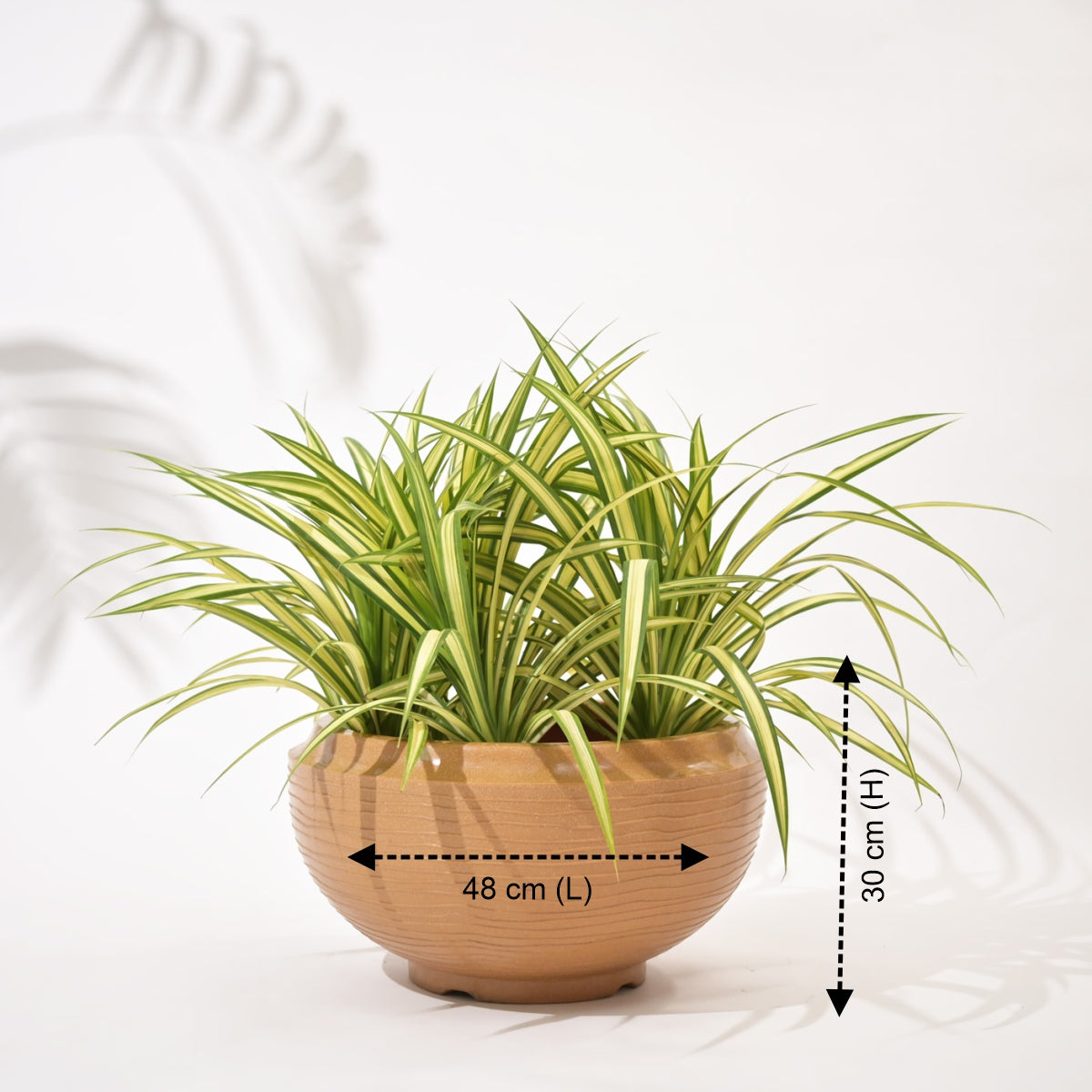 Rib Tasla Plastic Hanging Flower Pots