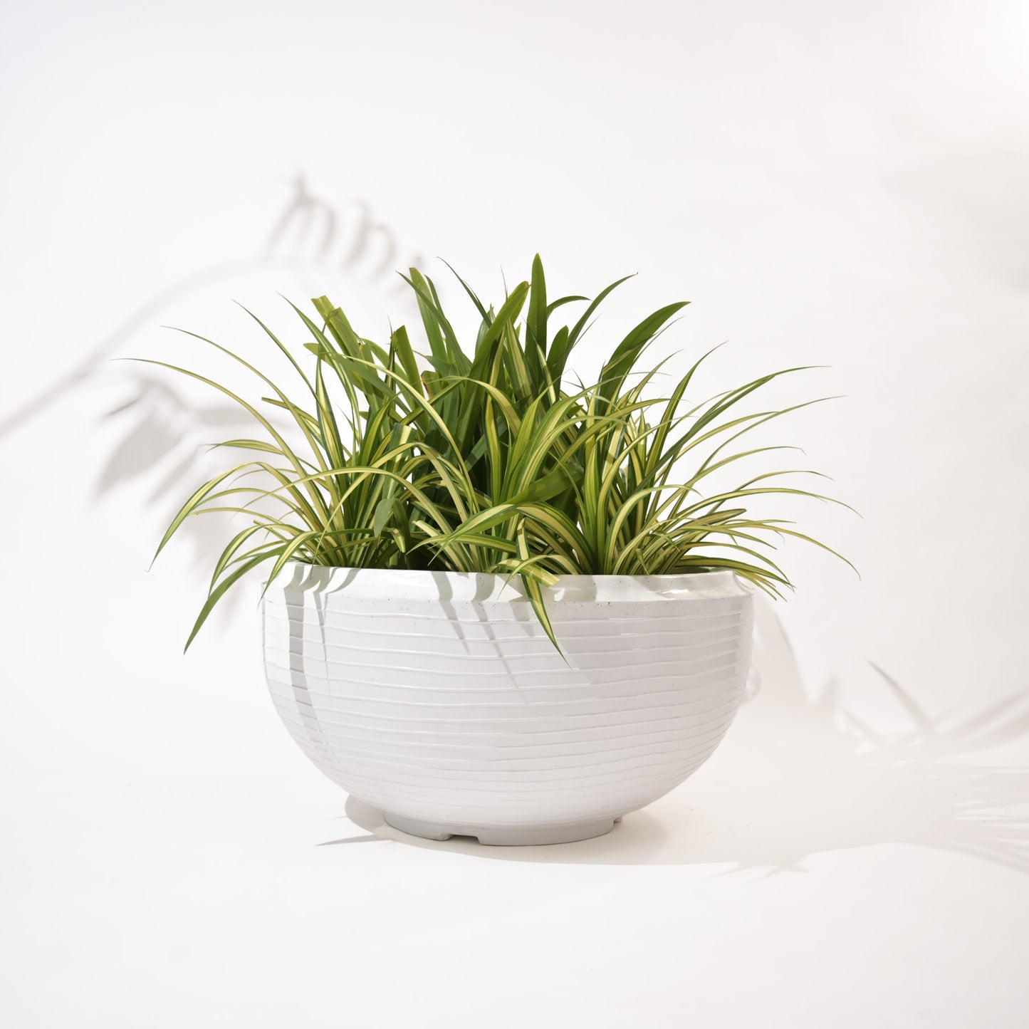 Rib Tasla Plastic Hanging Flower Pots
