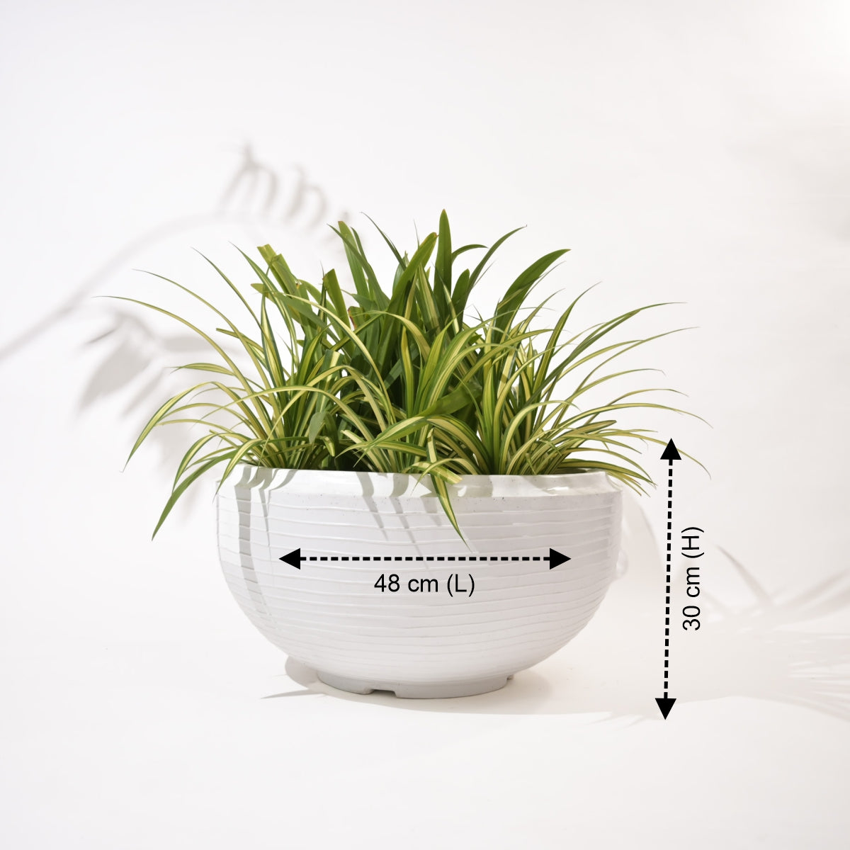 Rib Tasla Plastic Hanging Flower Pots