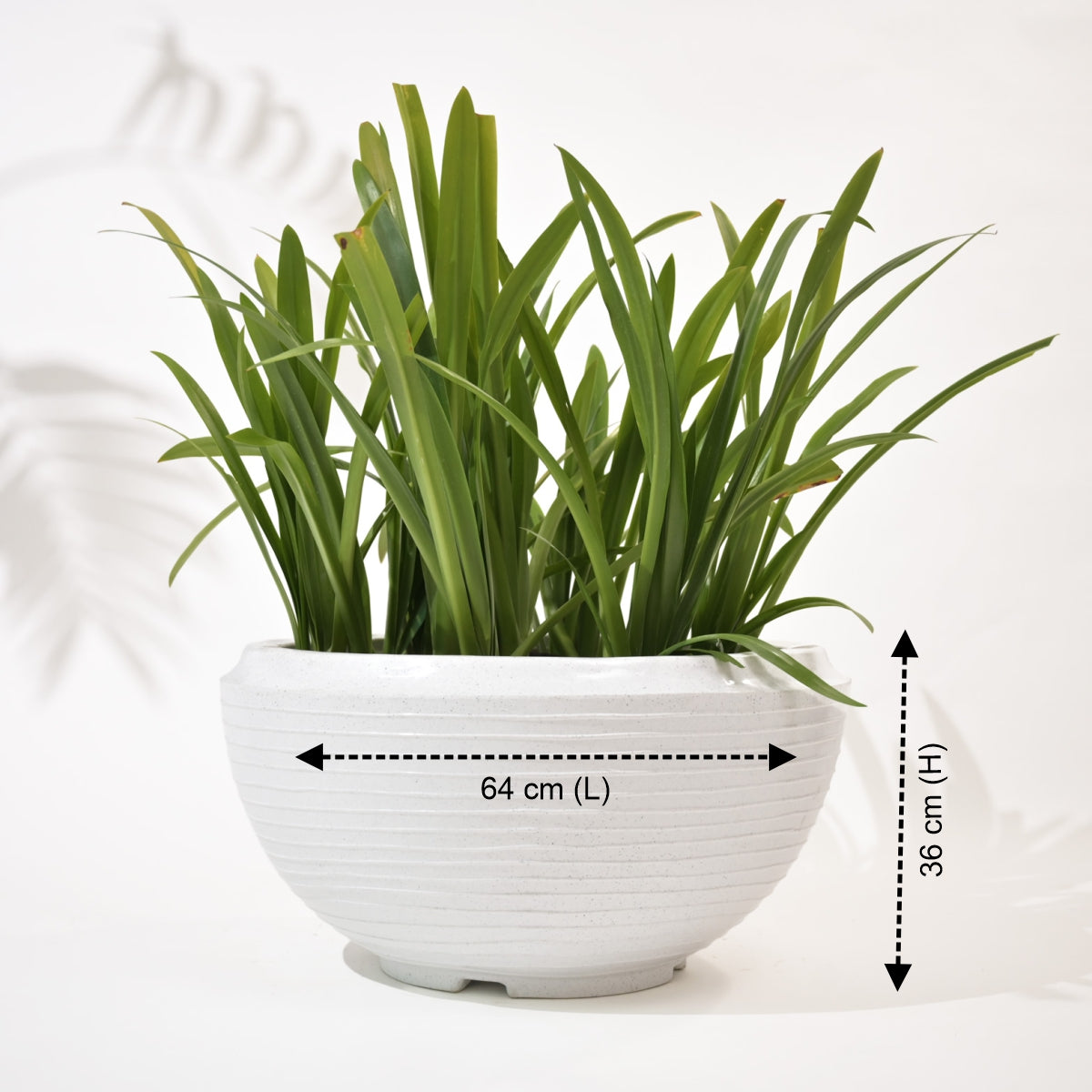 Rib Tasla Plastic Hanging Flower Pots