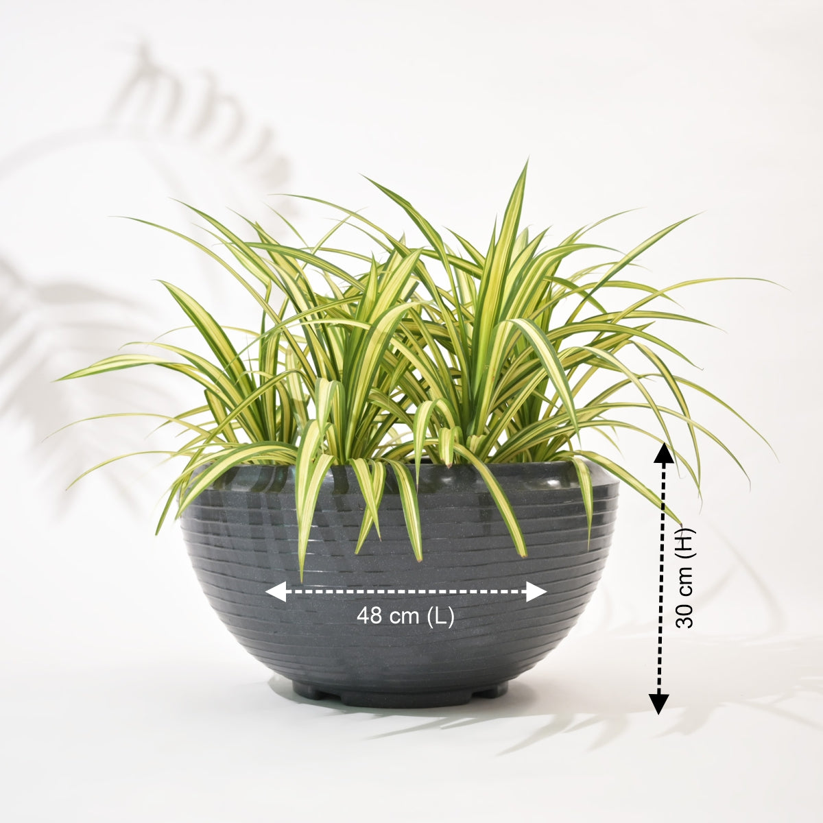 Rib Tasla Plastic Hanging Flower Pots