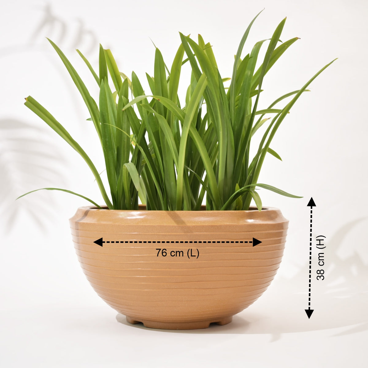 Rib Tasla Plastic Hanging Flower Pots