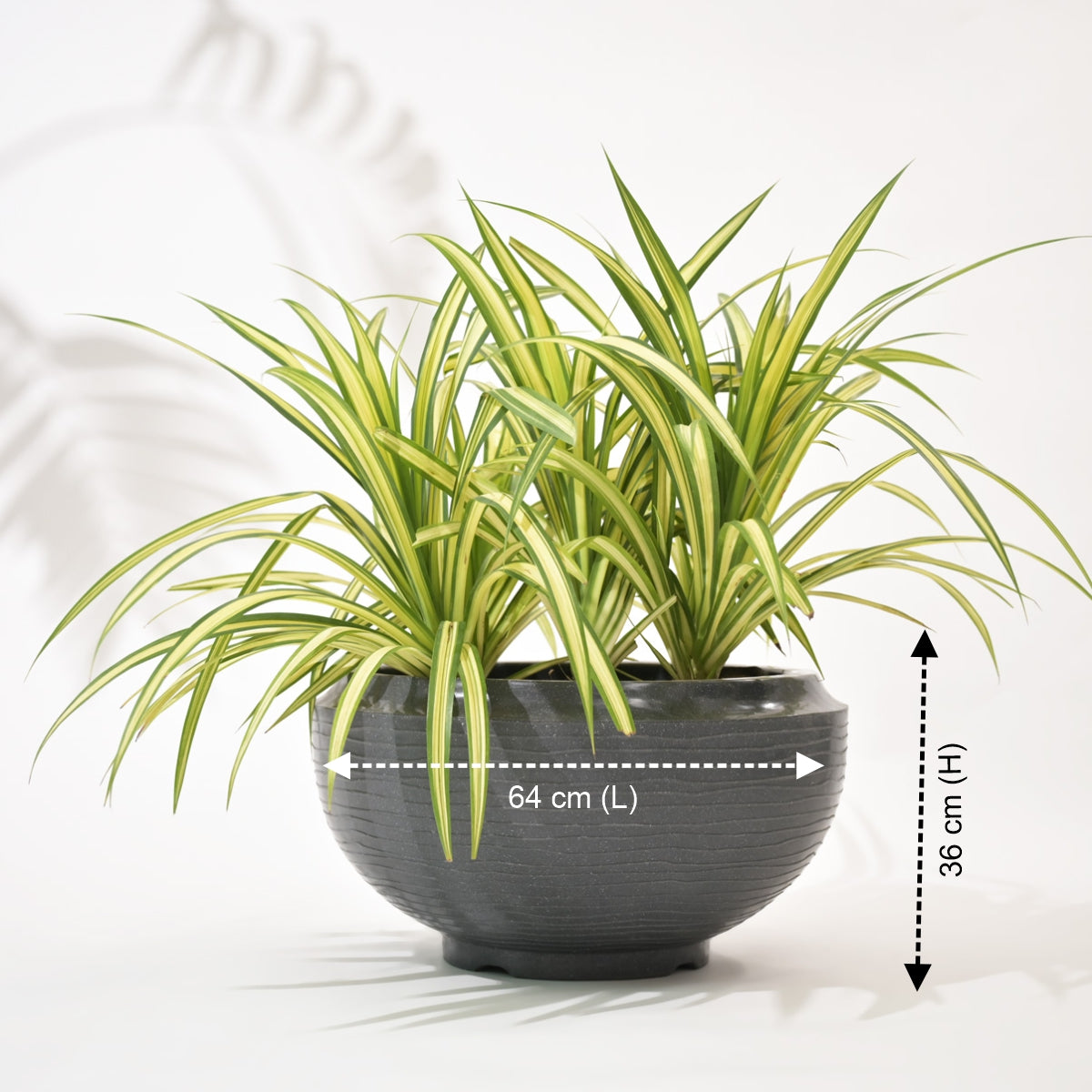 Rib Tasla Plastic Hanging Flower Pots
