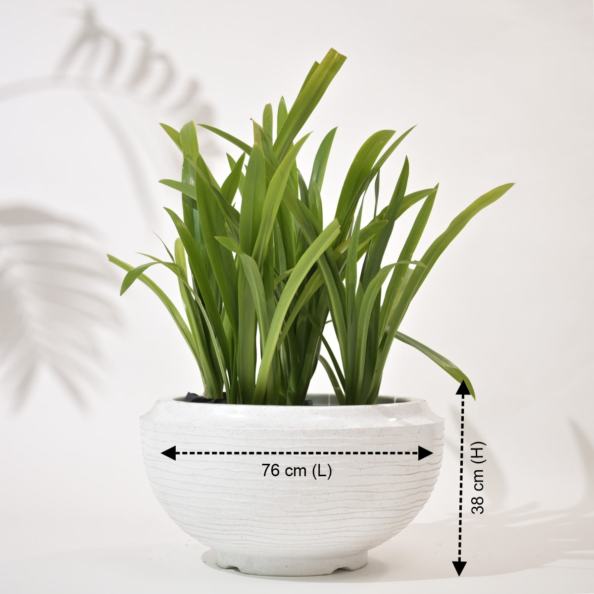 Rib Tasla Plastic Hanging Flower Pots