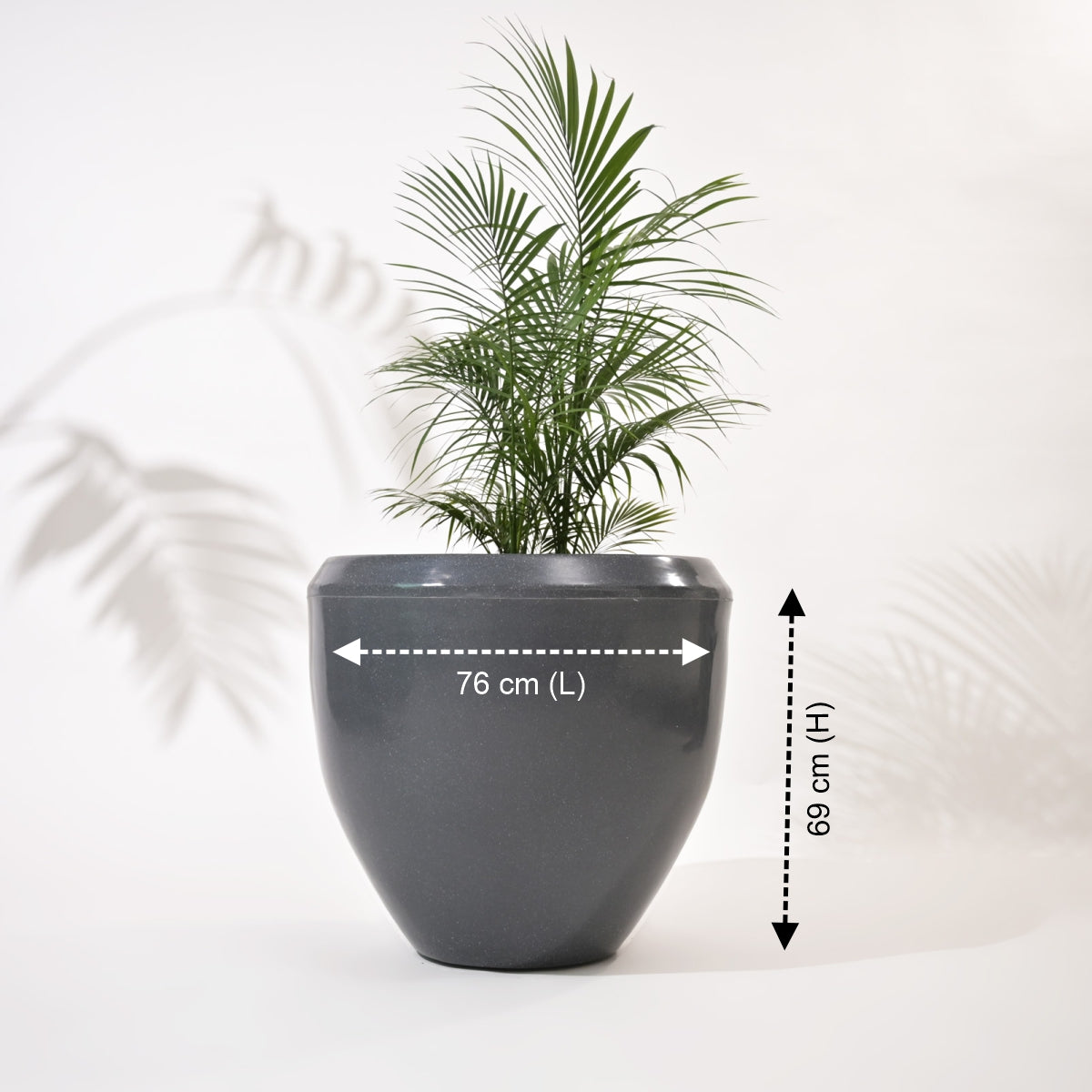Luna Large Planters For Living Room