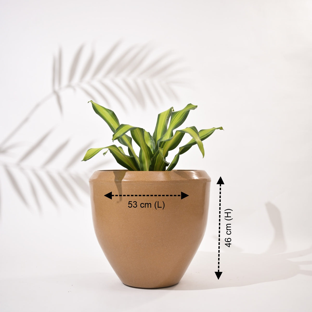 Luna Large Planters For Living Room