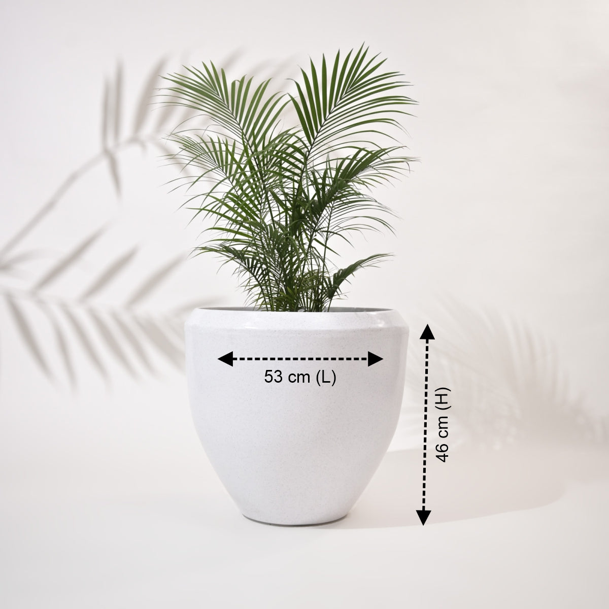 Luna Large Planters For Living Room