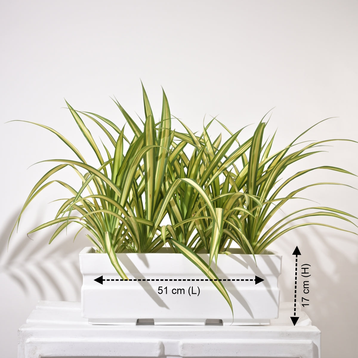 Trow Rectangular Planter For Garden