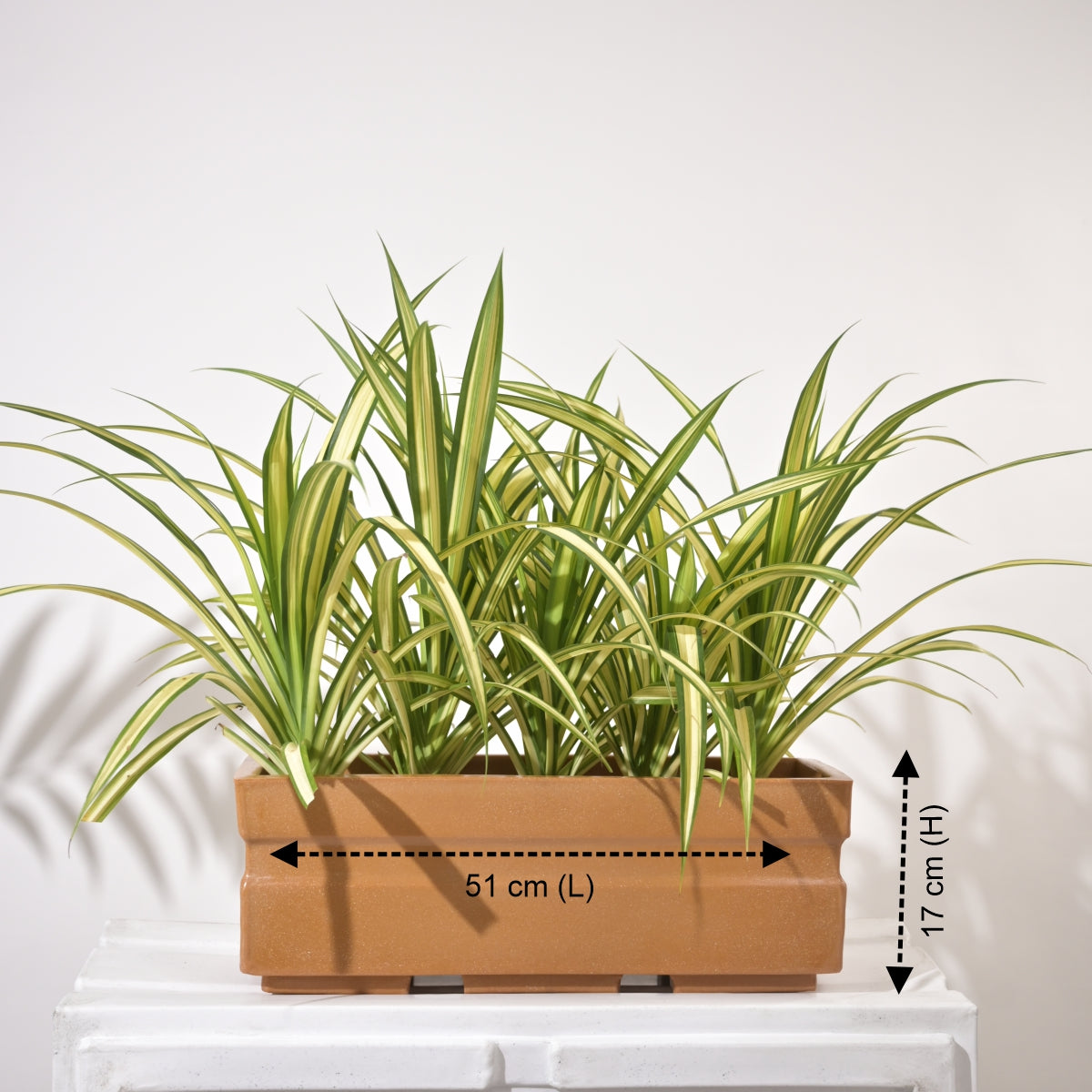 Trow Rectangular Planter For Garden