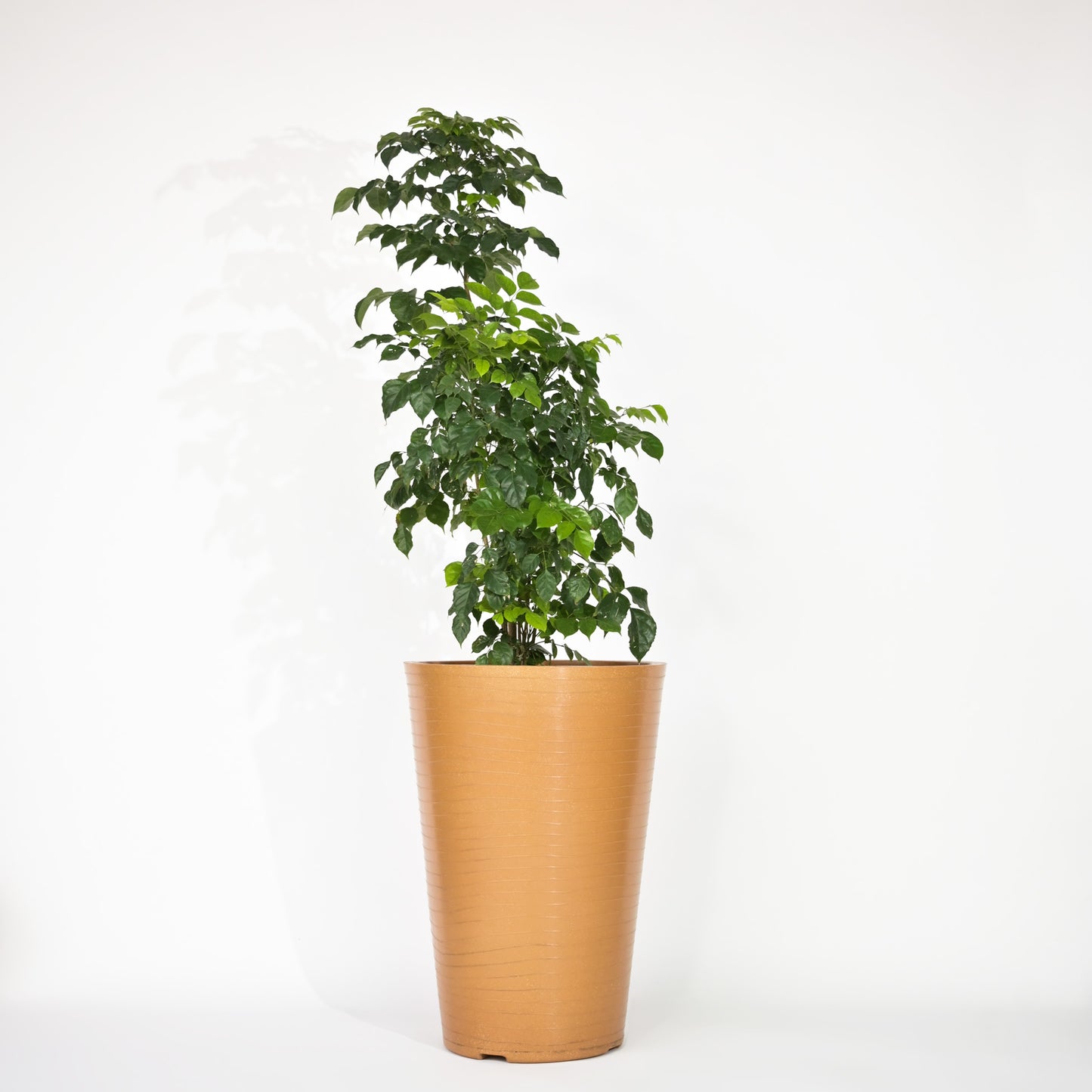 Rib Tower Big Size Planters