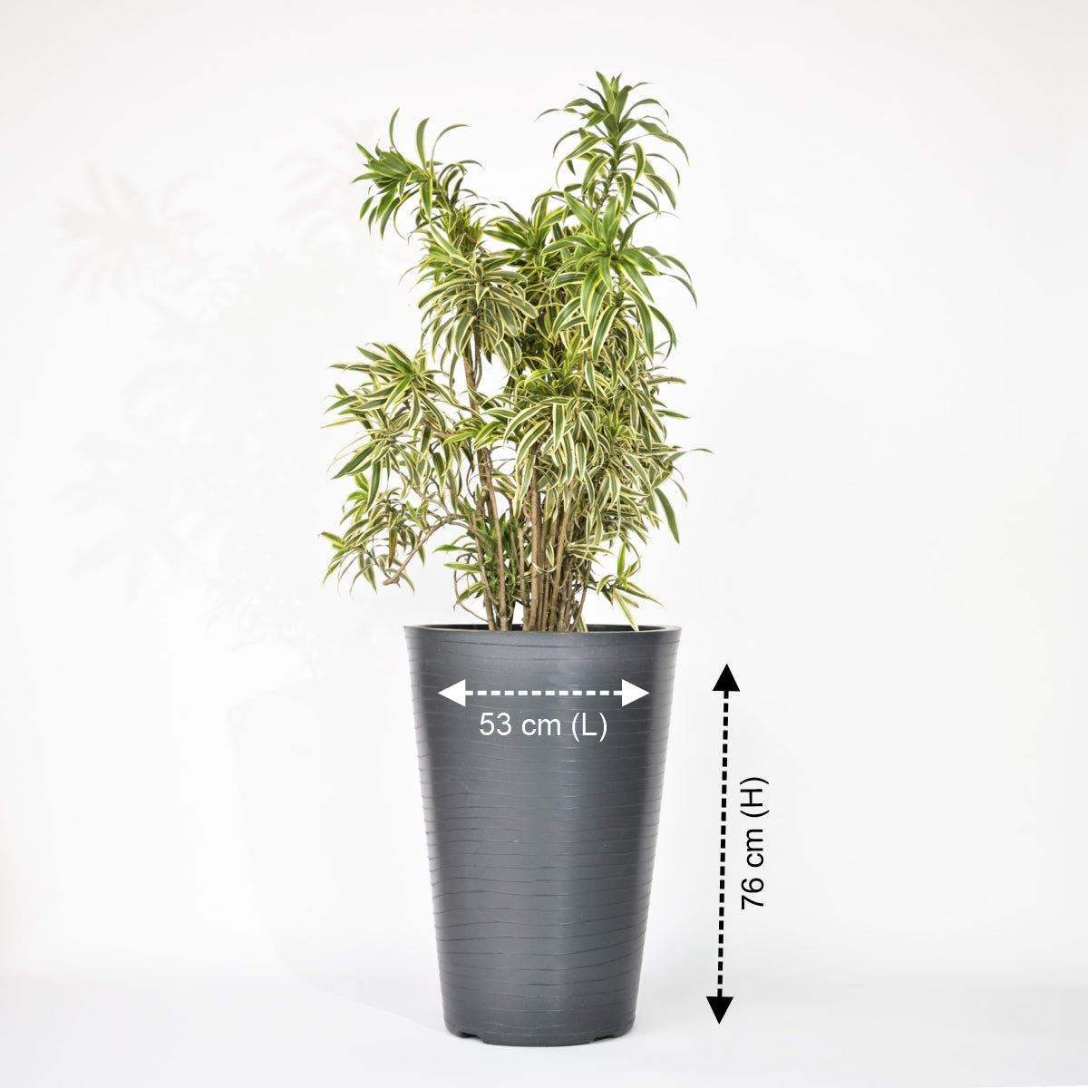 Rib Tower Big Size Planters