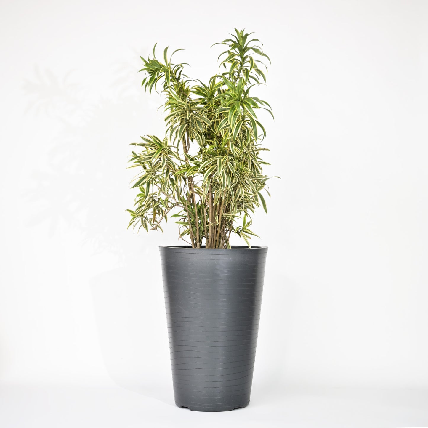 Rib Tower Big Size Planters