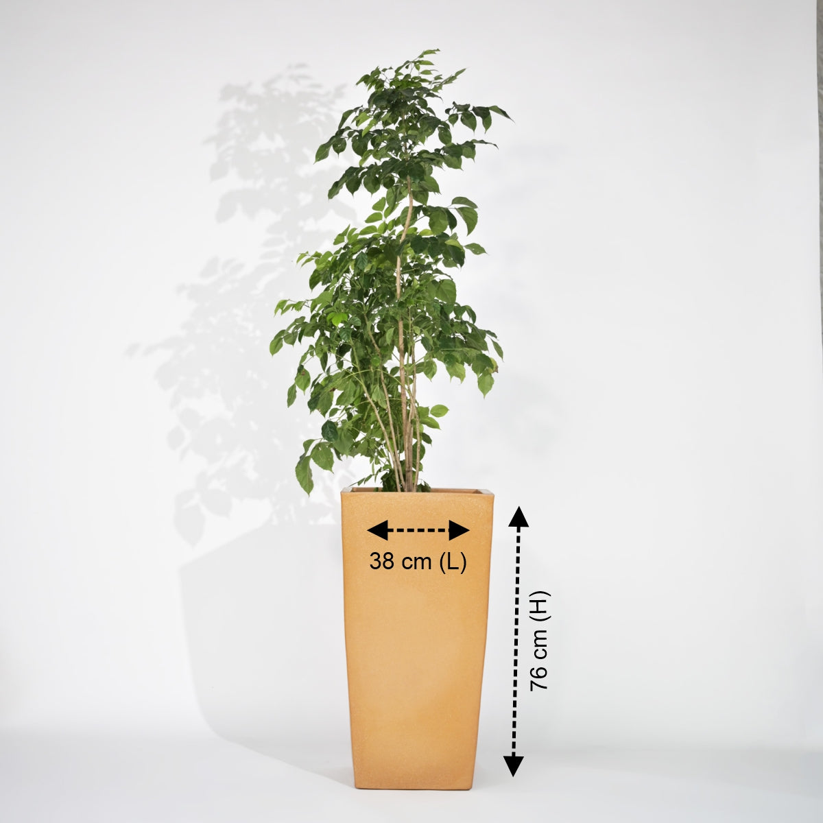 Bent Block Big Planters For Living Room
