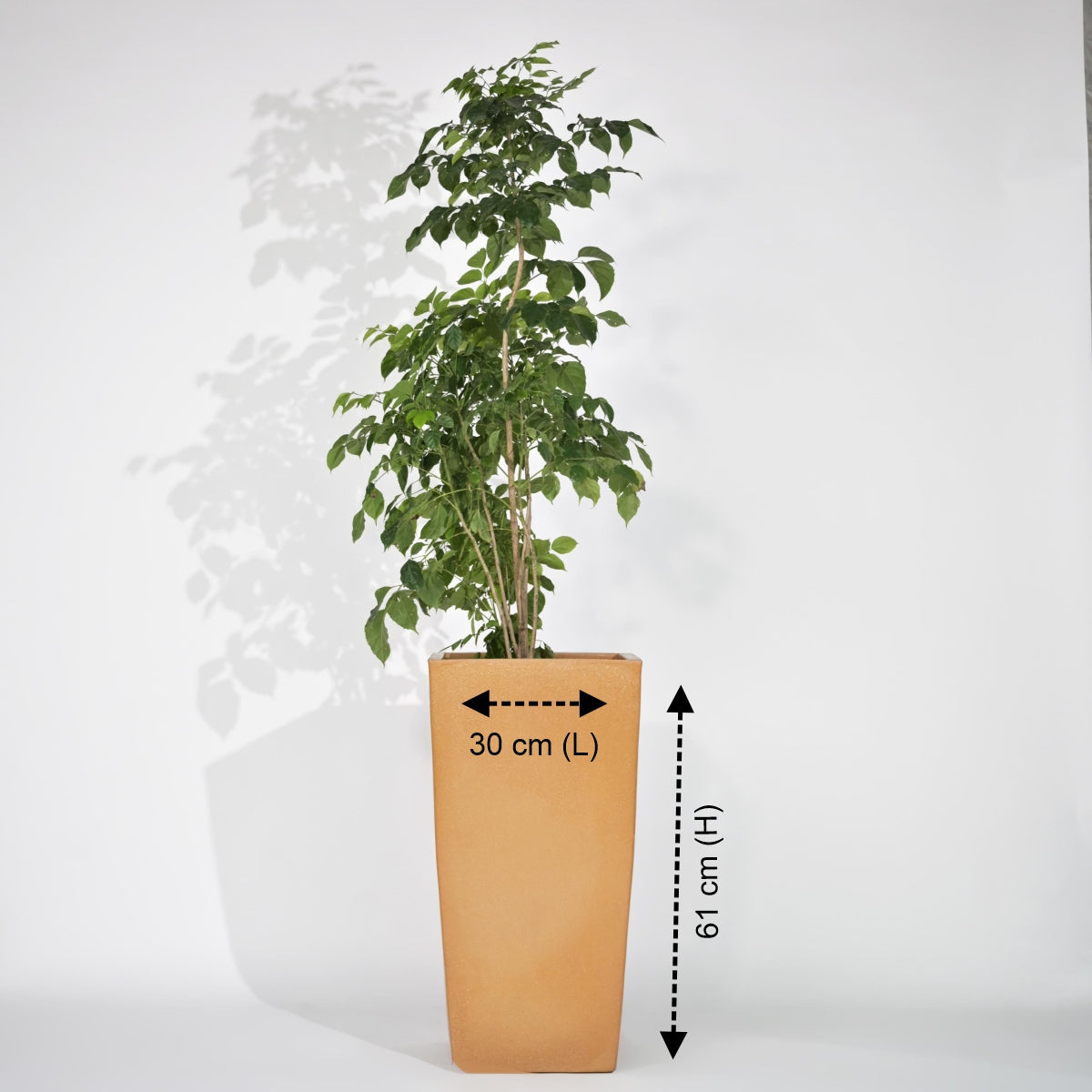 Bent Block Big Planters For Living Room