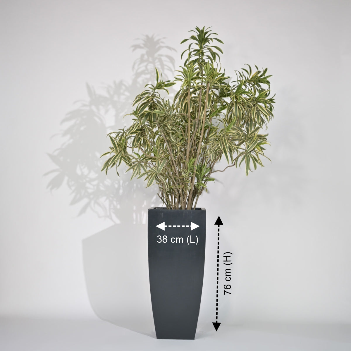 Bent Block Big Planters For Living Room