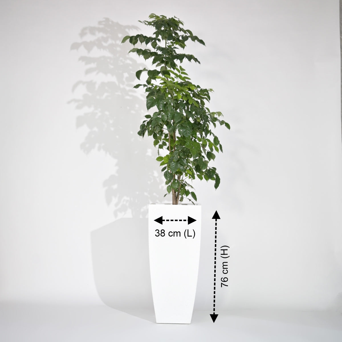 Bent Block Big Planters For Living Room
