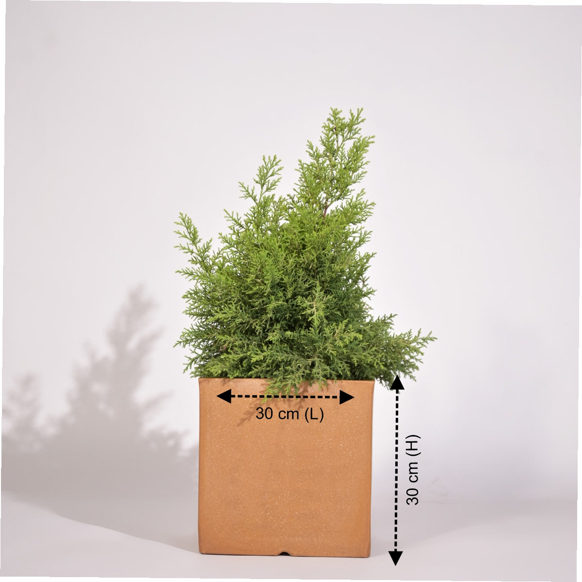 Cubical Square Flower Pot