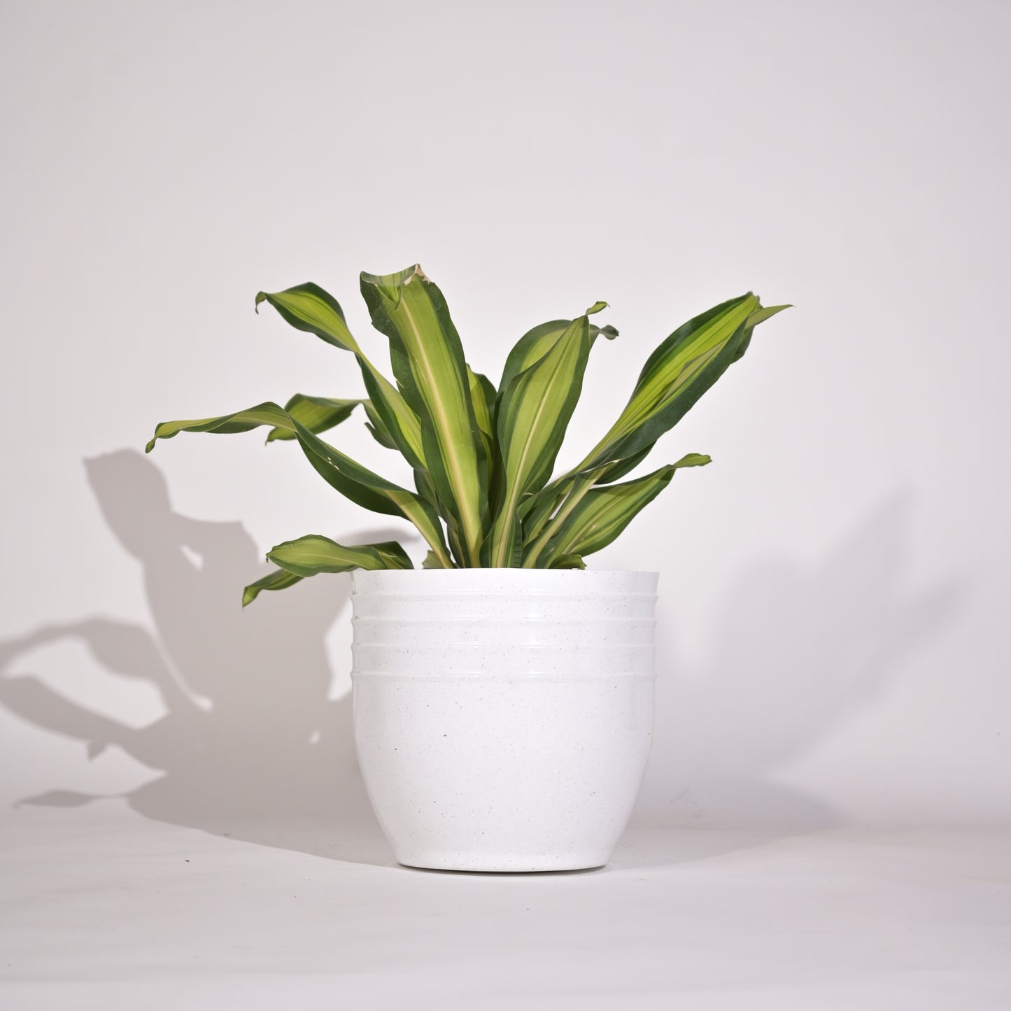 Rib Oval Small Planters