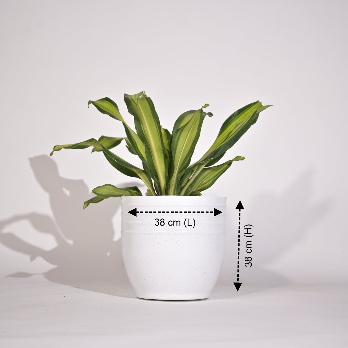 Rib Oval Small Planters