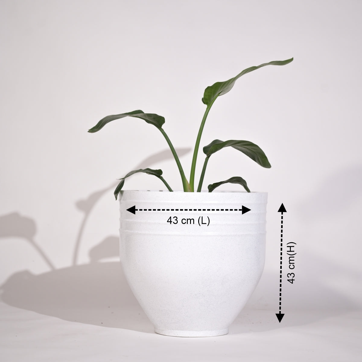 Rib Oval Small Planters