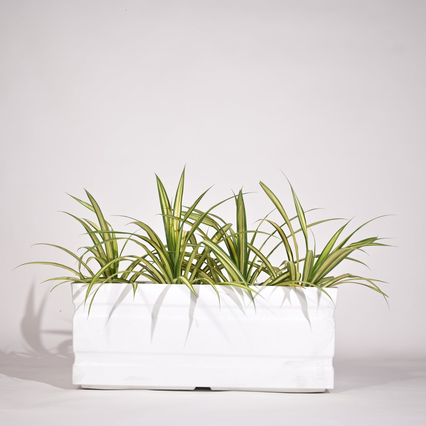 Trow Rectangular Planter For Garden