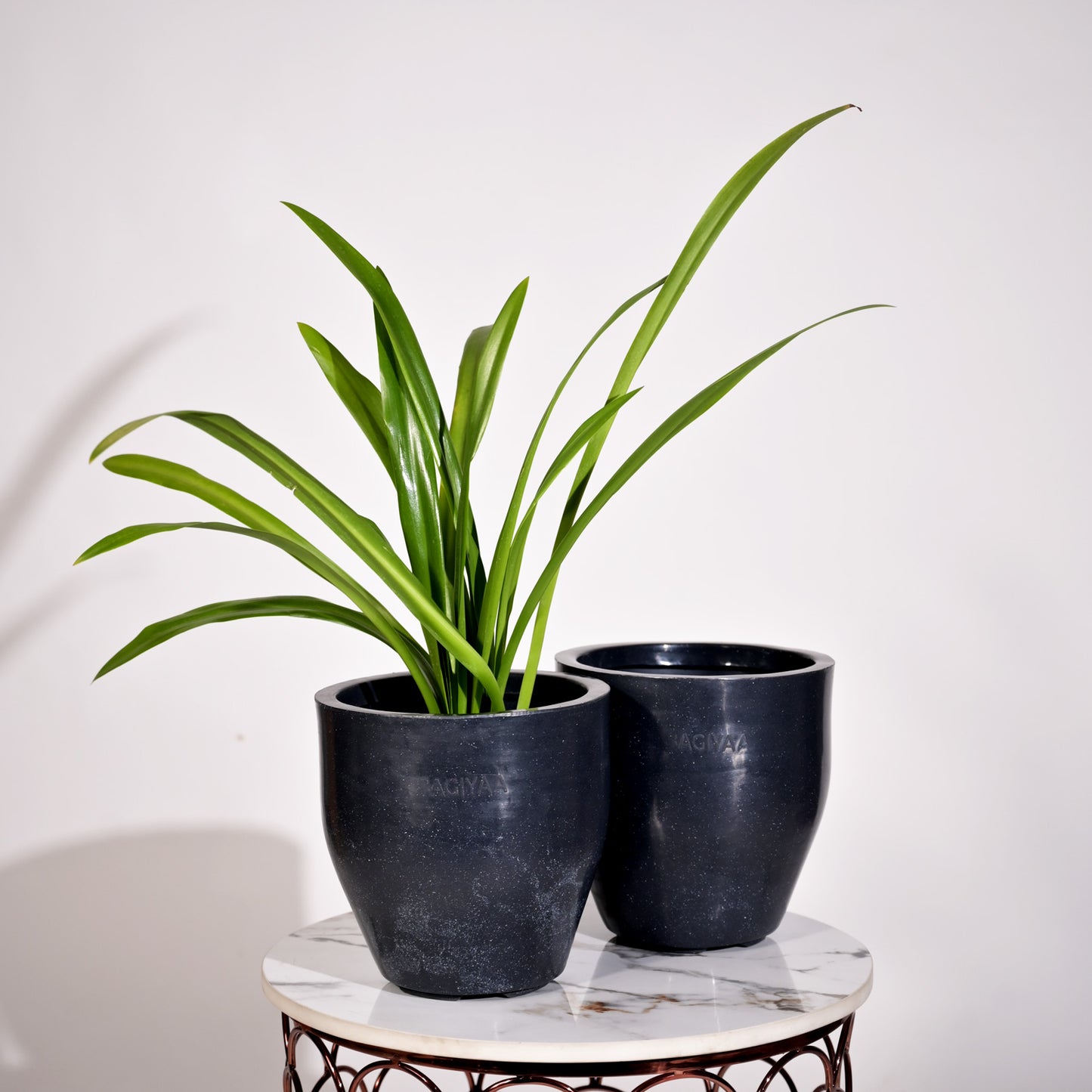 Luna Large Planters For Living Room