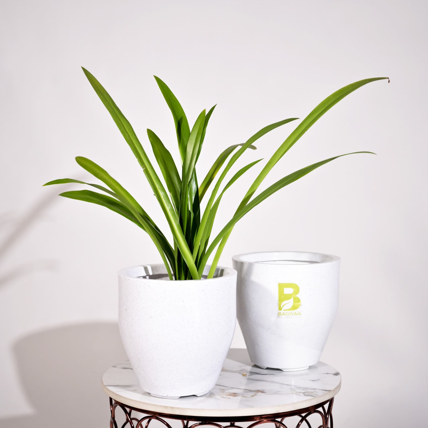 Luna Large Planters For Living Room