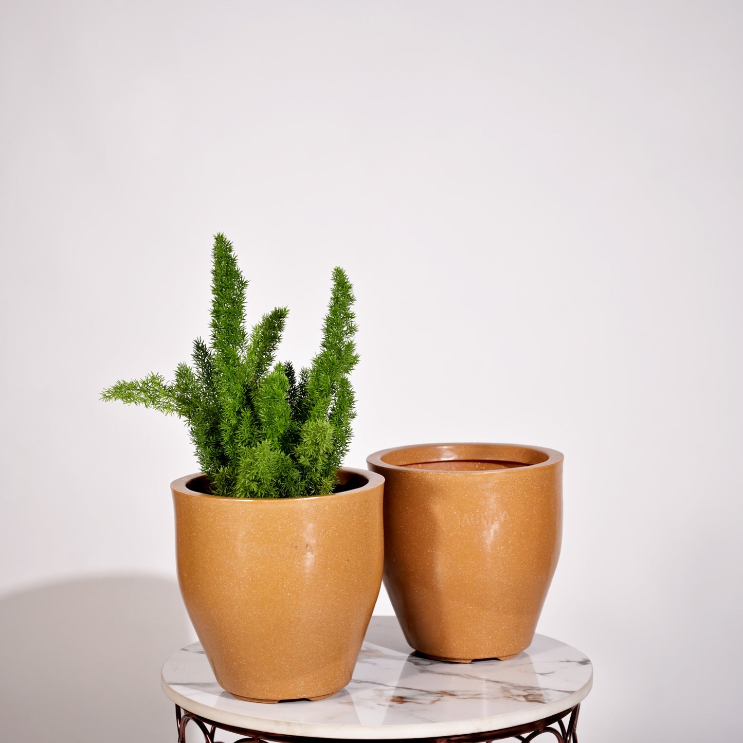 Luna Large Planters For Living Room