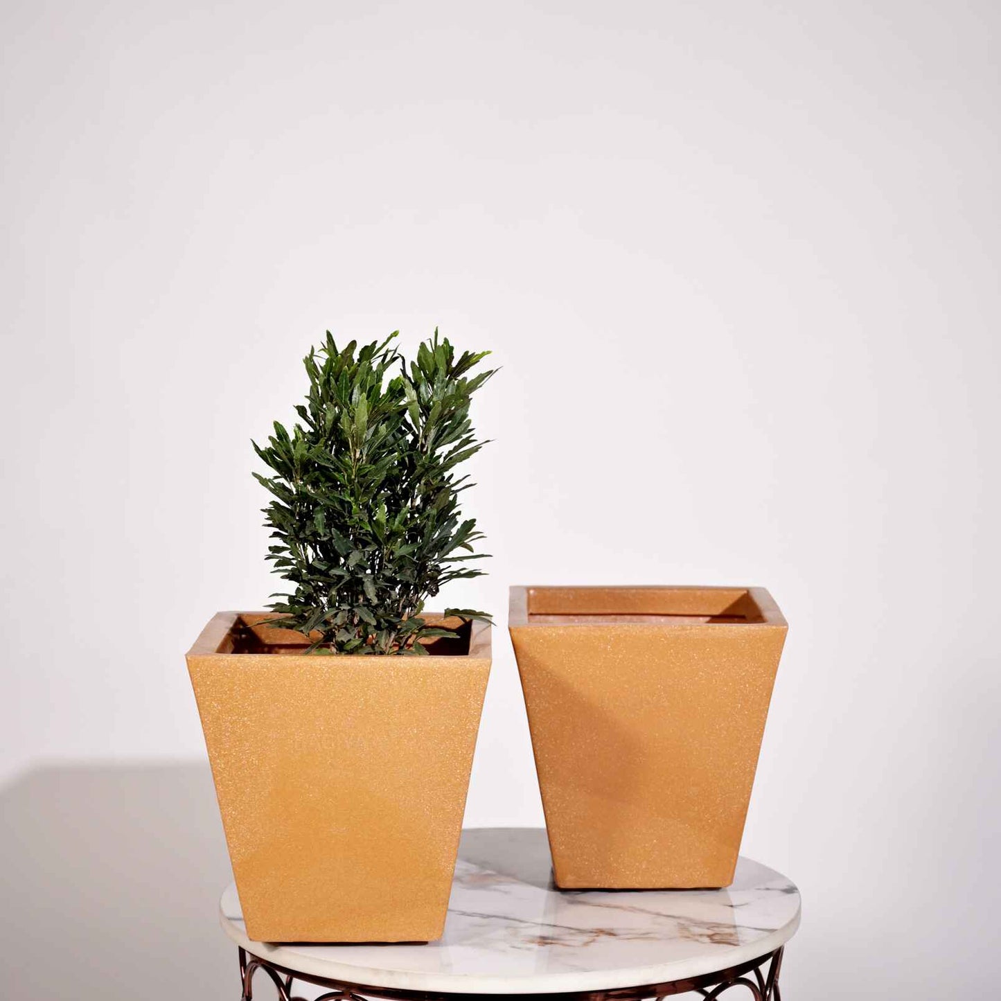 Bent Block Big Planters For Living Room
