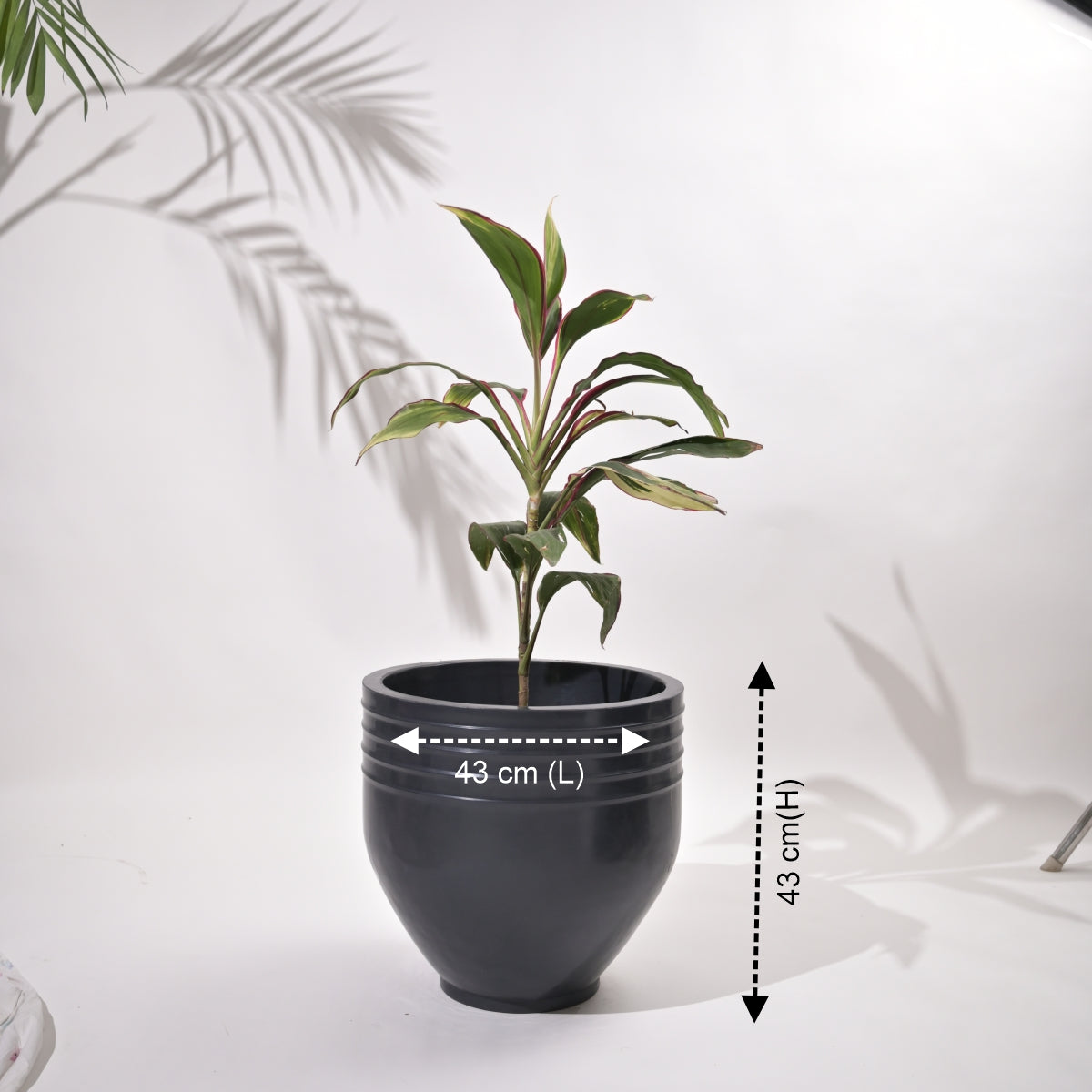 Rib Oval Small Planters