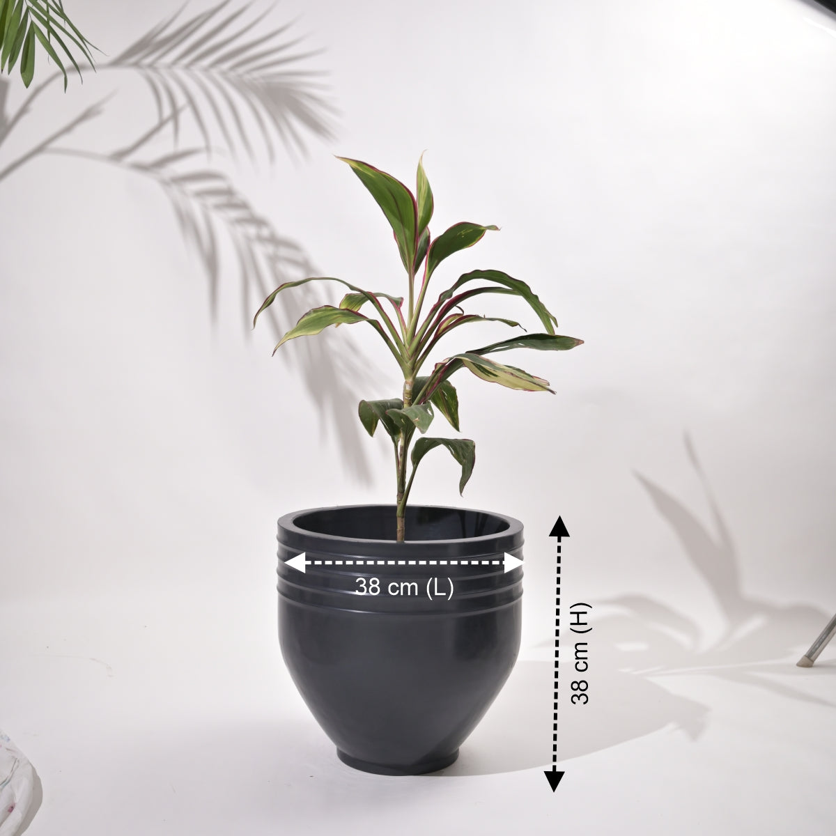 Rib Oval Small Planters
