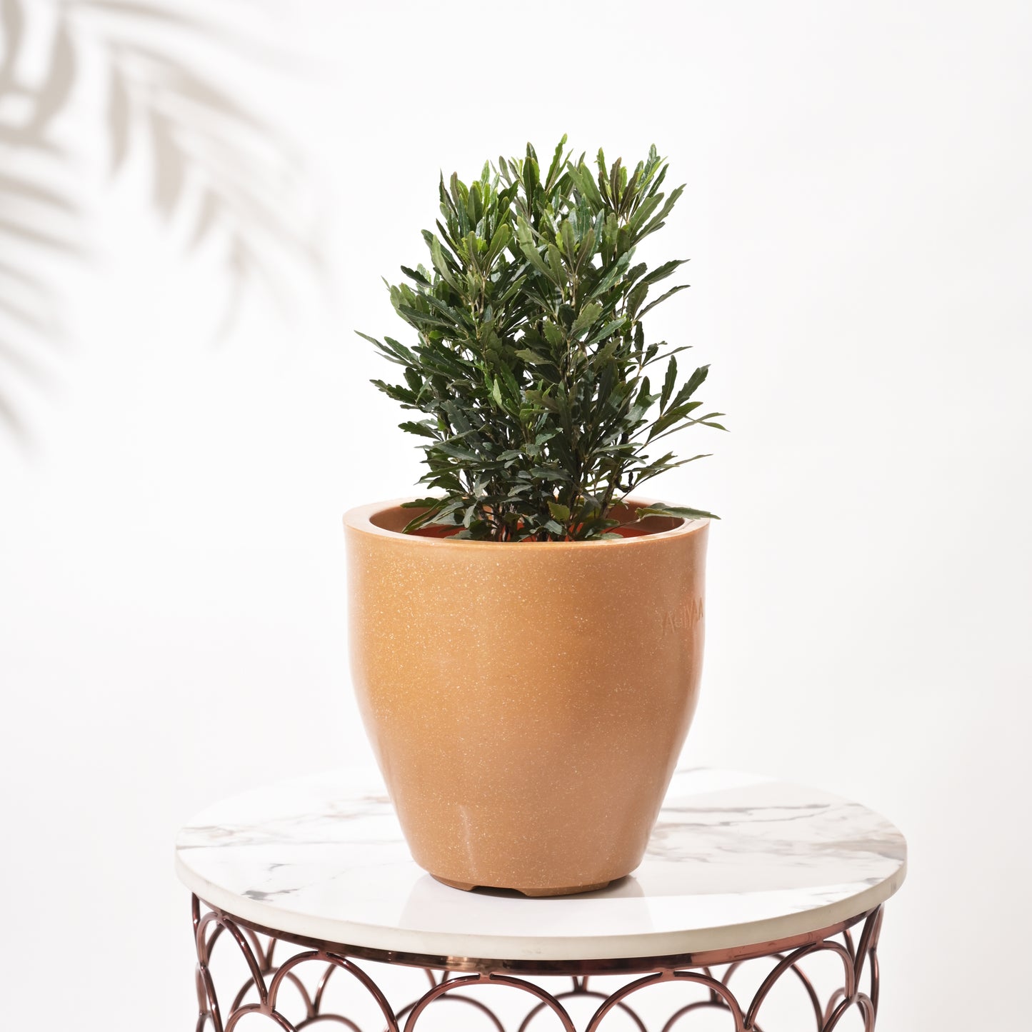 Luna Large Planters For Living Room
