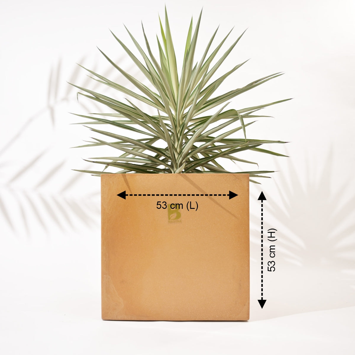 Cubical Square Flower Pot