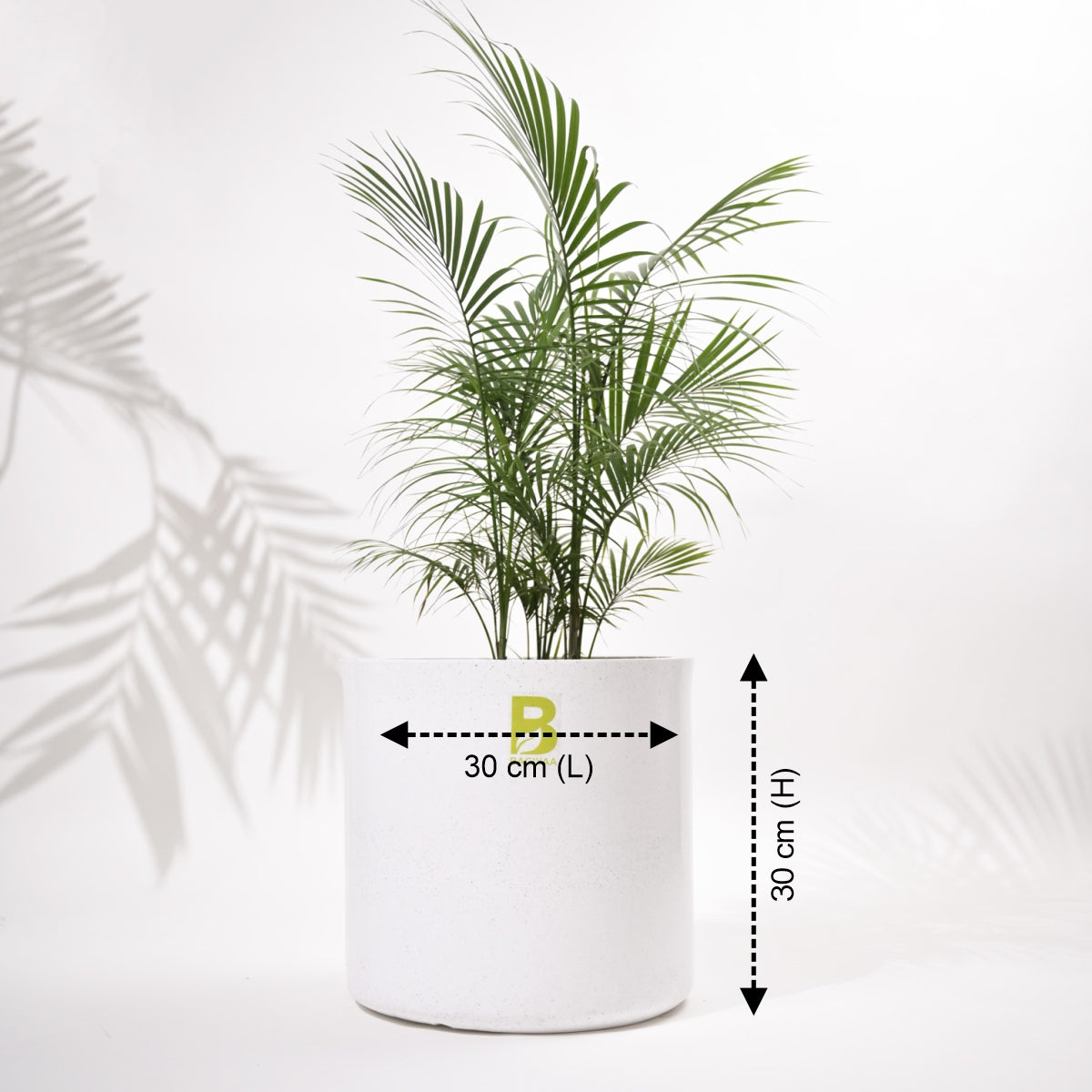 Cubical Round Big Flower Pot For Living Room