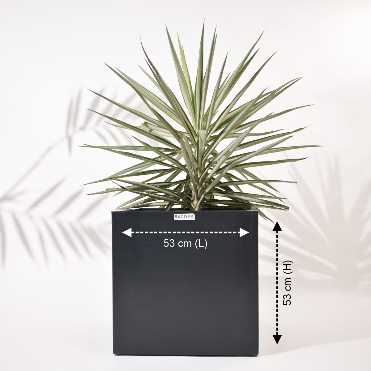 Cubical Square Flower Pot