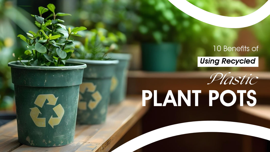 10 Benefits of Using Recycled Plastic Plant Pots