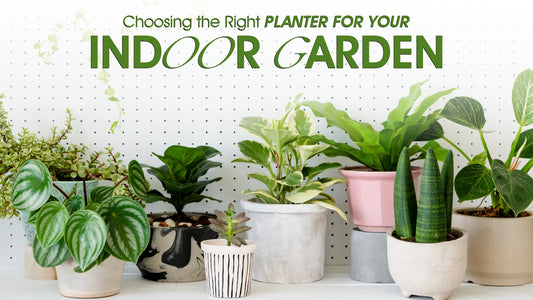 Choosing the Right Planter for Your Indoor Garden