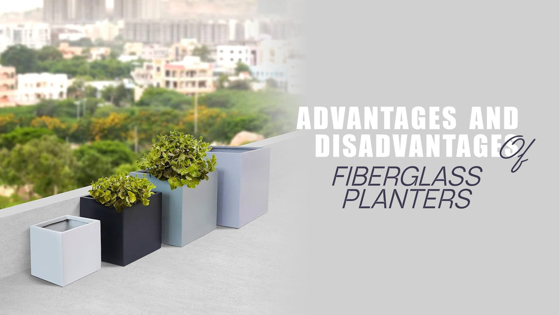 Advantages and Disadvantages of Fiberglass Planters